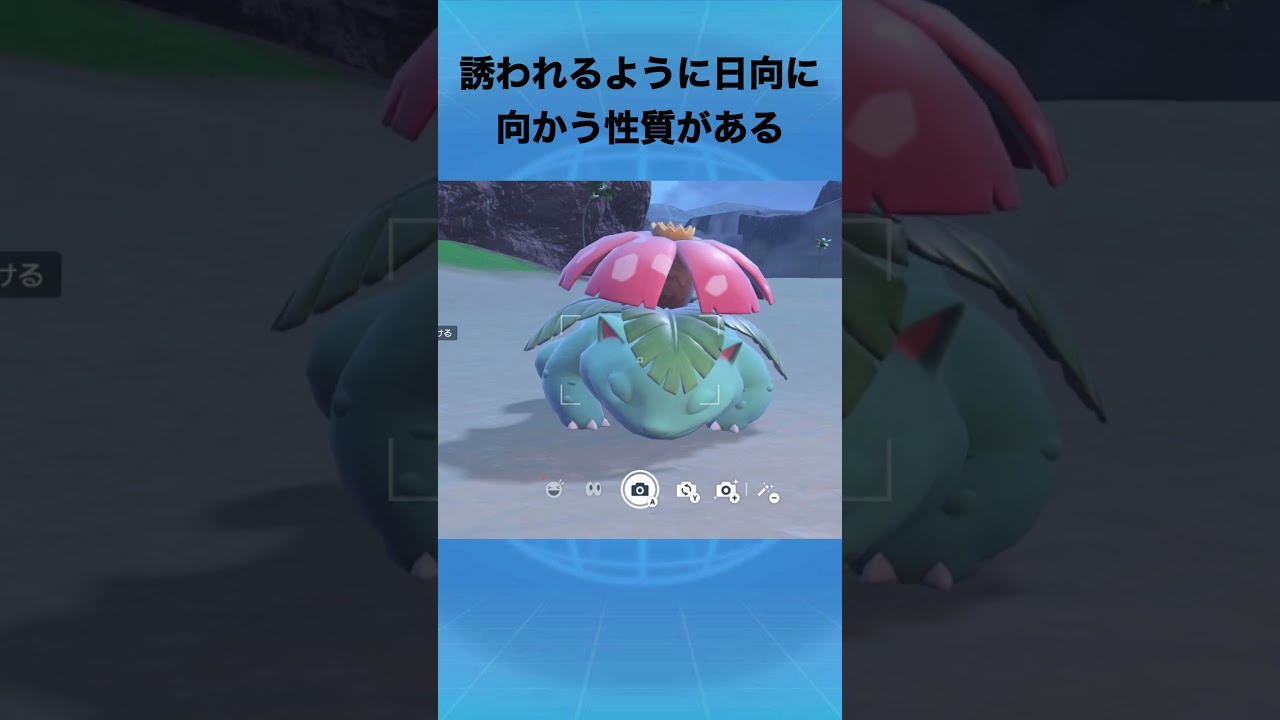 フシギバナについて #ポケモン #フシギバナ #花
