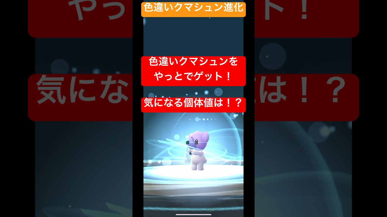色違いクマシュンゲット！進化させていく！気になる個体値は！？#ポケモンgo #ポケモン #pokemongo #pokemon #shorts #short