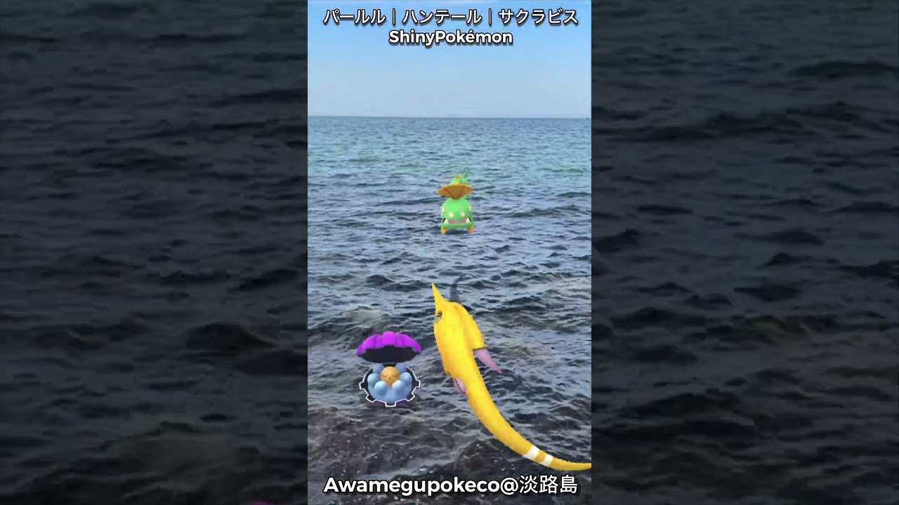 パールル｜Clamperl｜ハンテール｜Huntail｜サクラビス｜Gorebyss｜ShinyPokémon【ポケモンGO】PoKeMoN GO AR｜AR動画｜GOsnapshot｜淡路島