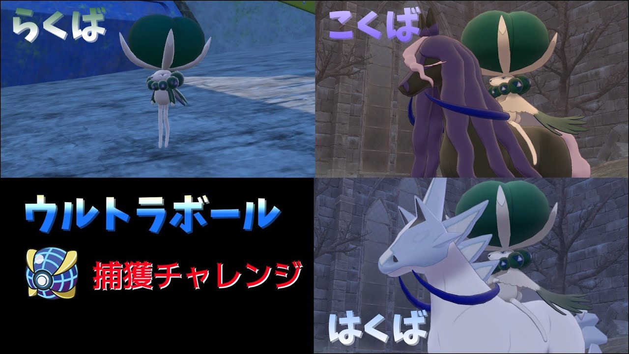 【ポケモン剣盾】 バドレックス ウルトラボール捕獲　黒バドと白バドの2パターン捕獲解説
