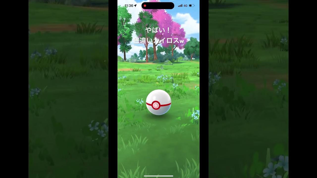 やばい！色違いカイロス！ #shorts #ポケモン #ポケポケ #ポケモンカード #ポケモンgo