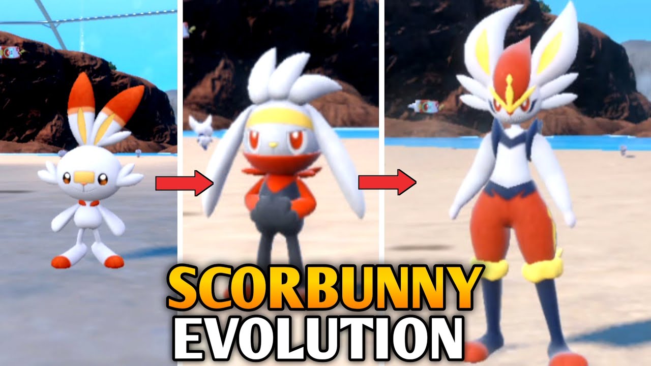 How To Evolve Scorbunny Into Raboot And Cinderace In Pokemon Scarlet & Violet | Indigo Disk DLC