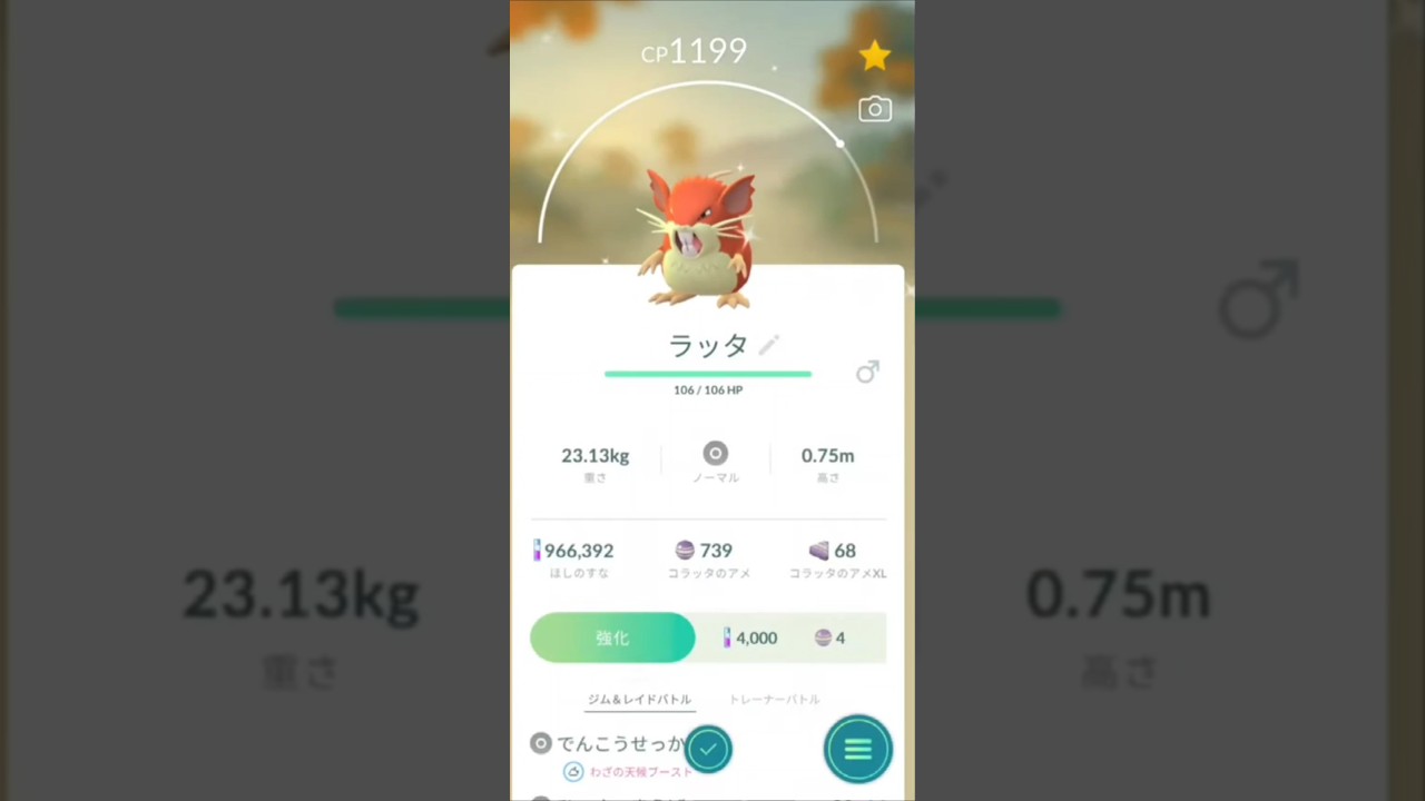 色違い　コラッタからラッタに進化　ポケモンGO