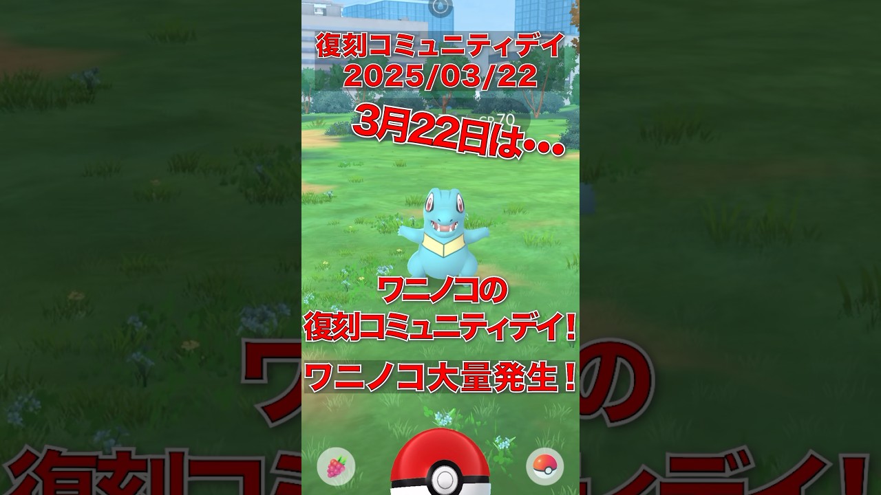 【ポケモンGO】ワニノコの復刻コミュニティデイ!!!ZA発売前に色違いを集めるぞ!!! #ポケモンGO #ワニノコ #コミュニティデイ #ポケモン #pokemon #pokemongo