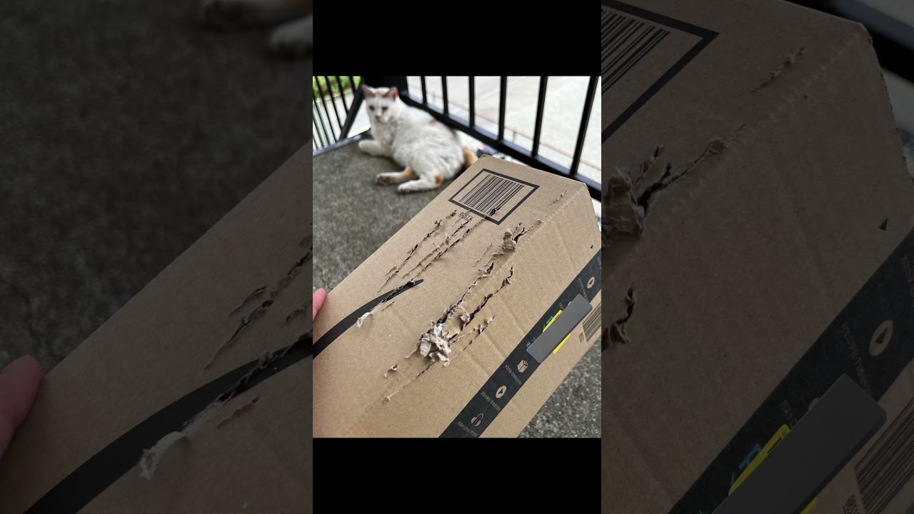 【ディグダ】Xでバズったポストが面白すぎたwww【アフレコ】