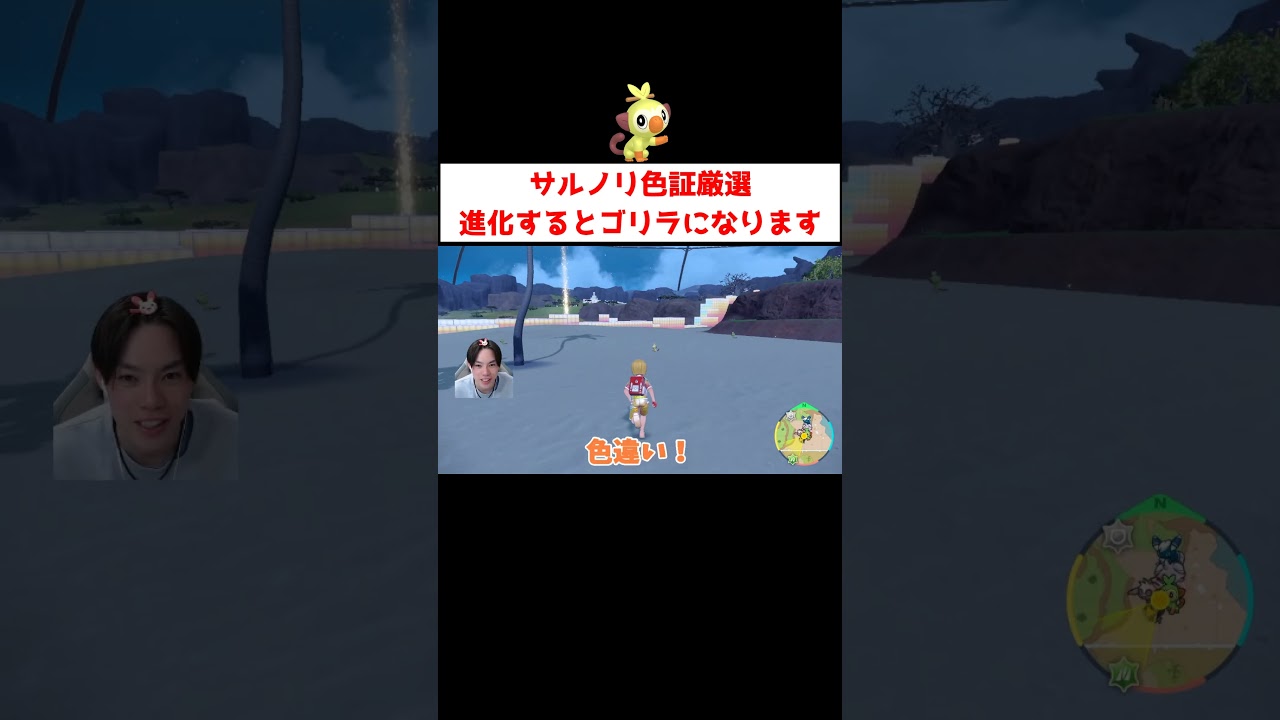 サルノリ色証厳選 #ゲーム実況 #shorts #ポケモン #ポケモンSV #色違い #サルノリ