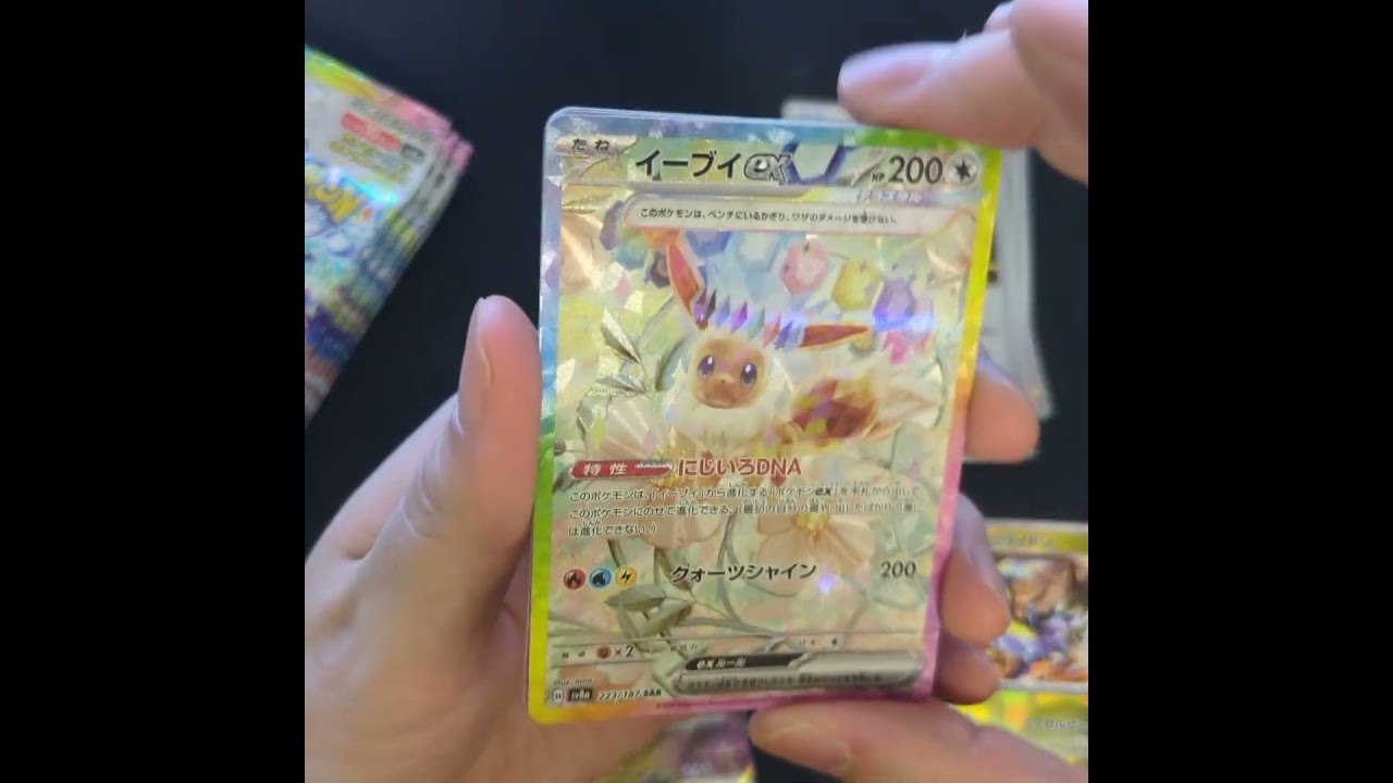 ブイズに会いたい男たち #テラスタルフェス #イーブイ #ブイズ #ブースター #ポケモンカード #shorts