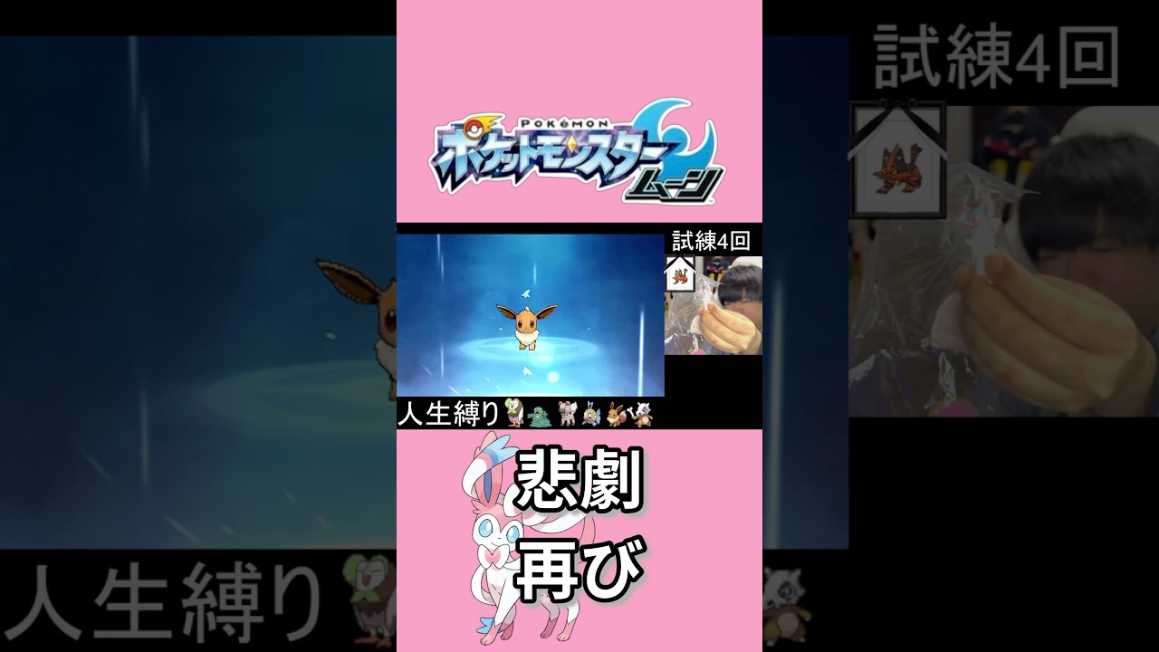 悲劇再び【ポケモンSM】