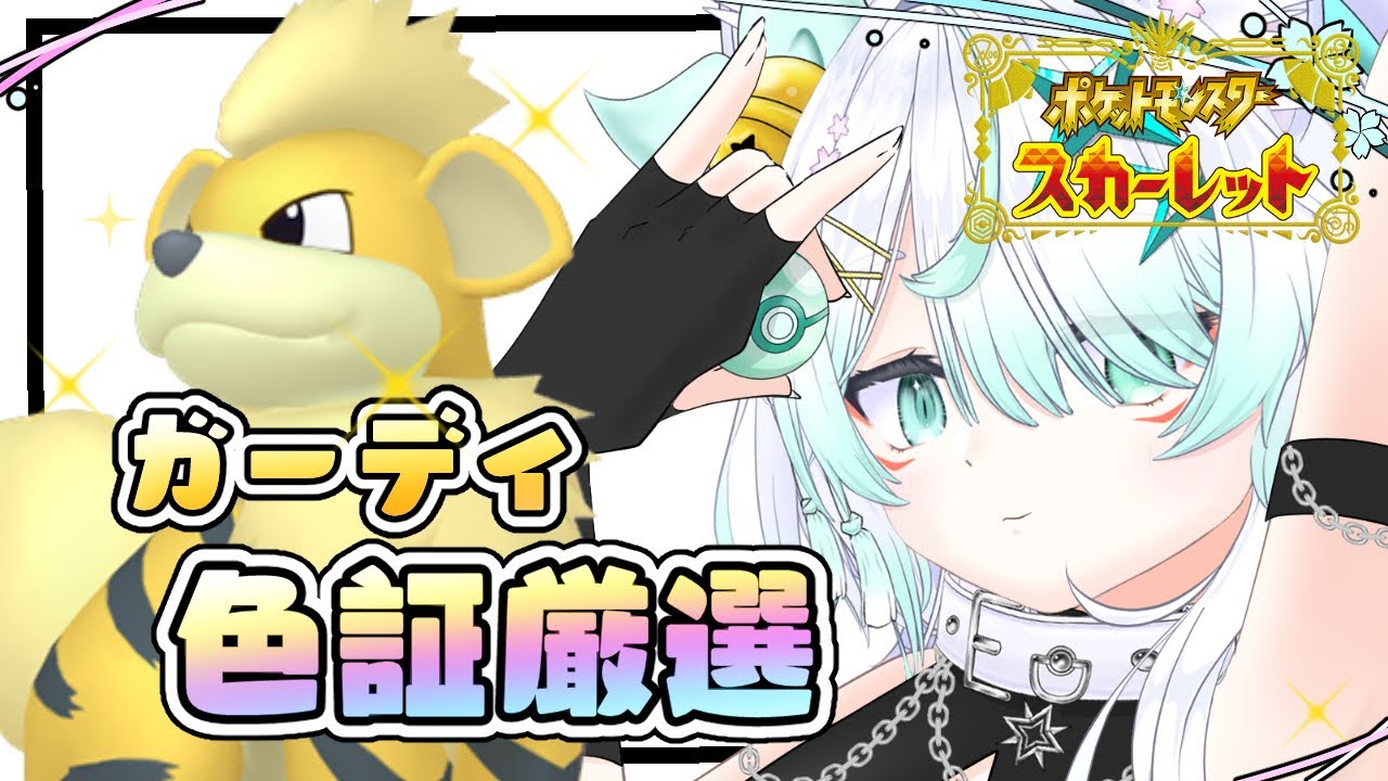 【ポケモンSV】色証ガーディを狙って！！