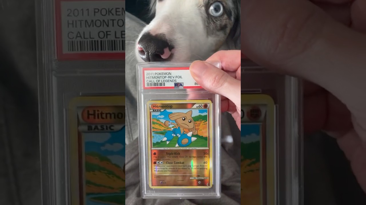 Guess the Grade 🤔 Hitmontop #tcgpokemon #gradedcards #psa #pokemon