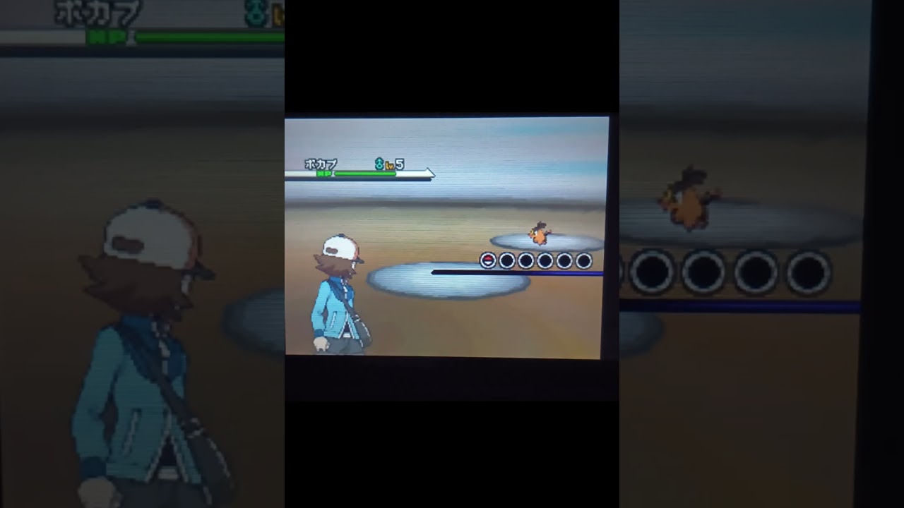 ポケットモンスターブラック 色違いツタージャ出た！  #色違いポケモン  #ツタージャ  #ポケットモンスター  #pokemon  #pokémon  #色違い  #ポケモン