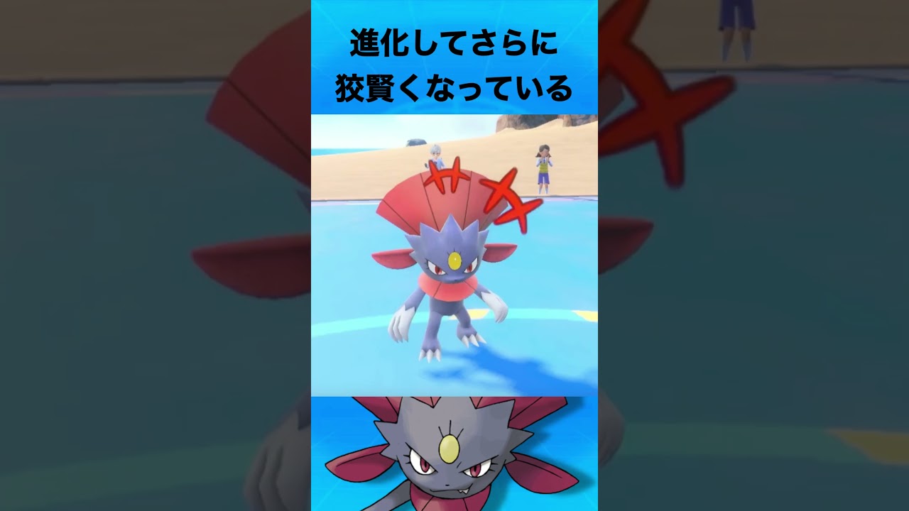 マニューラについて #ポケモン #マニューラ