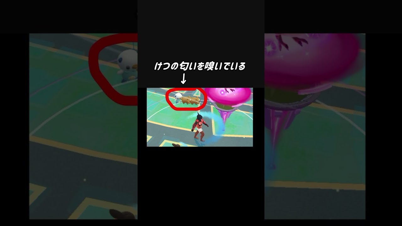 何を四天王！？ビッパ！？#ポケモンgo#ばずれ