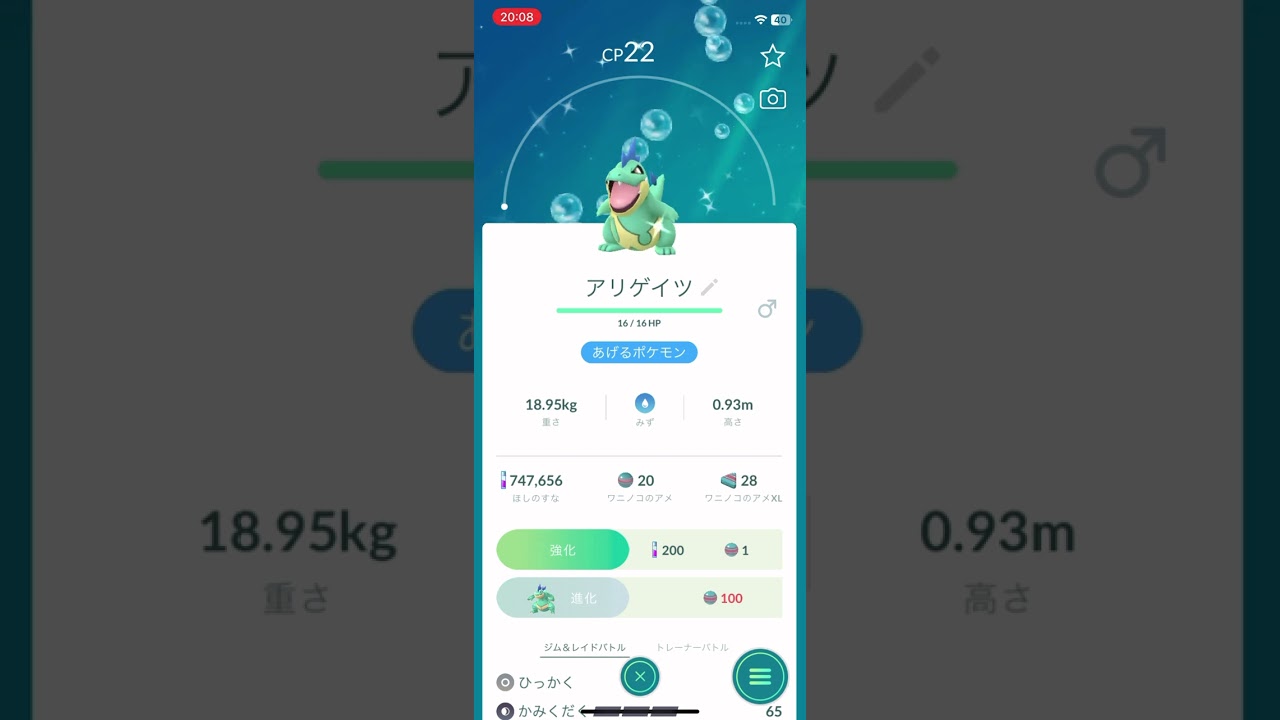 色違いワニノコの進化🐊アリゲイツ→オーダイル🐊