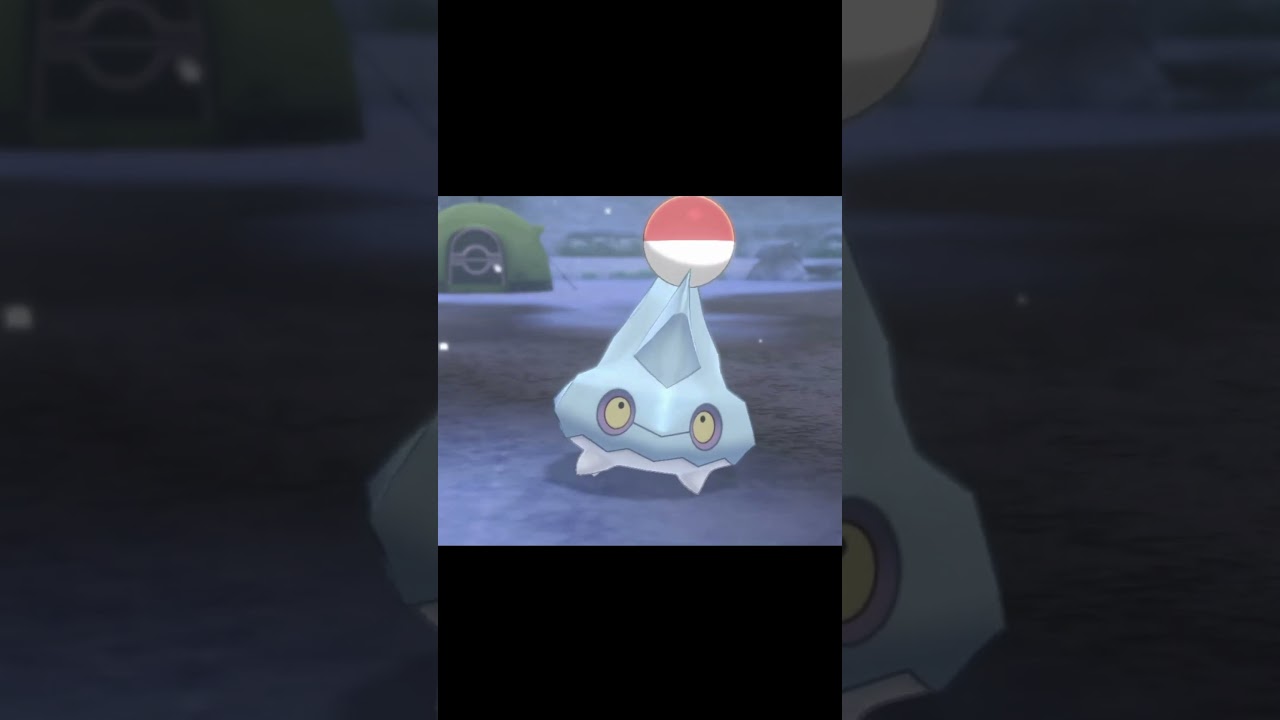 ボールを持って駆け寄ってくるカチコール　#Shorts