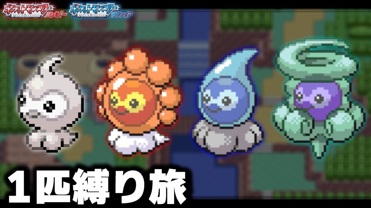 ポワルンLv5が最初のポケモンだったら1匹で殿堂入りできる？