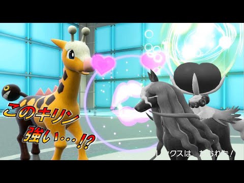 黒バドもタジタジ!? 良耐性キリンリキ  進化前統一ランクマパート145 [ポケモンSV]　#進化前縛り　#未進化　#たねポケ #リトル