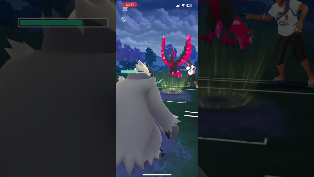 ゴロンダが頑張った！