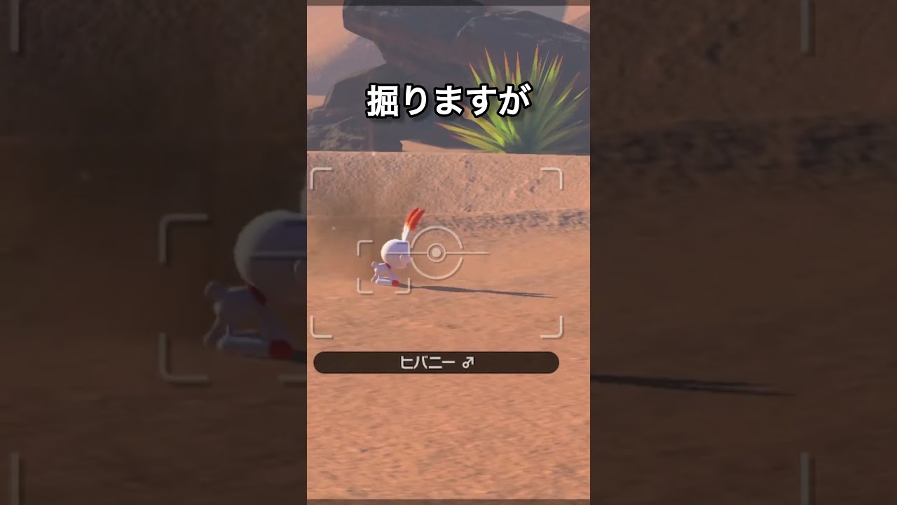 鬼畜なヒバニー　#ポケモン #ポケモンスナップ #ヒバニー