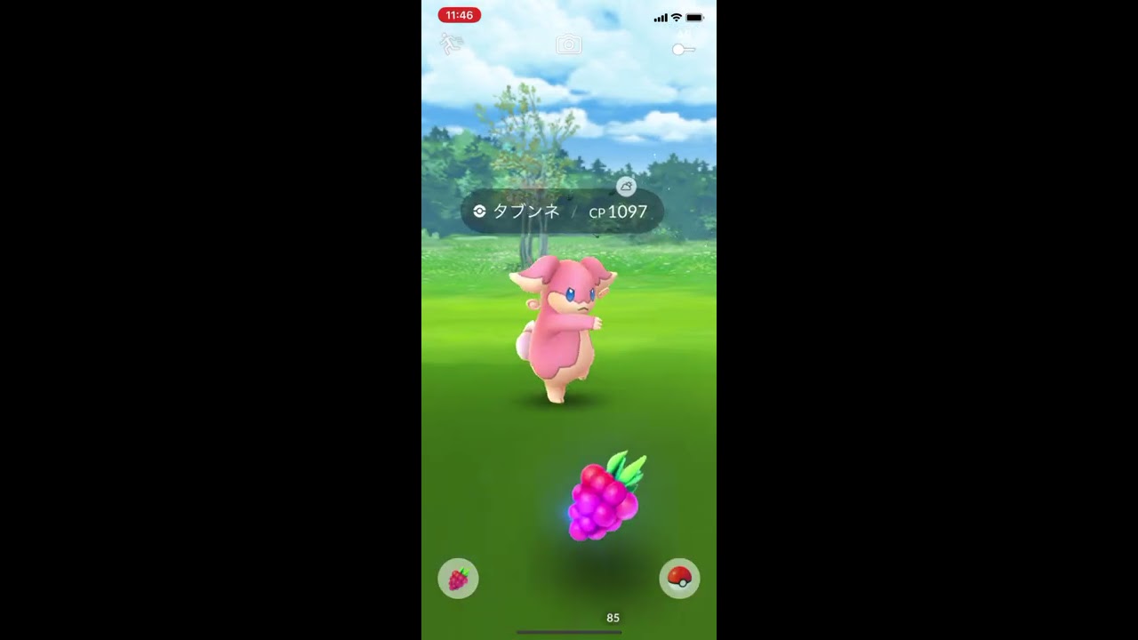 ポケモンgo 野生のタブンネゲットチャレンジ