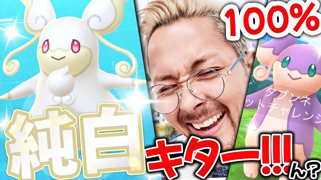 純白メガタブンネのレイドデイ！！砂！！100％！？色違いこれは…100じゃね！？【ポケモンGO】