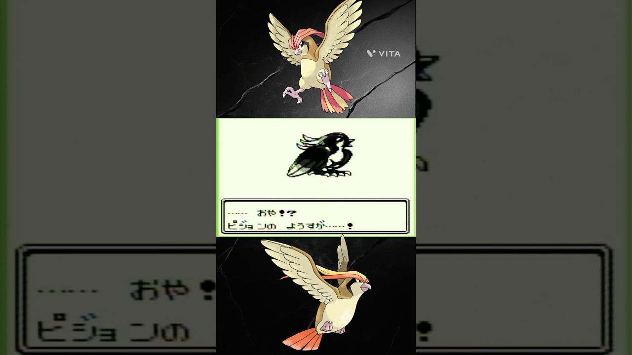 【初代ポケモン】ピジョン進化 #ポケモン #任天堂 #pokemon #ポケモン赤緑 #ゲーム実況 #レトロゲーム #sfc #ゲームボーイ #懐メロ #switch #shorts