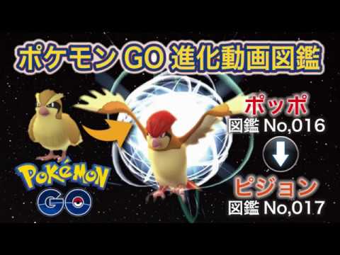 【ポケモンGO進化図鑑】016「ポッポ」→017「ピジョン」