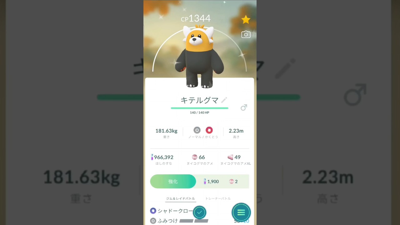 色違い　ヌイコグマからキテルグマに進化　ポケモンGO
