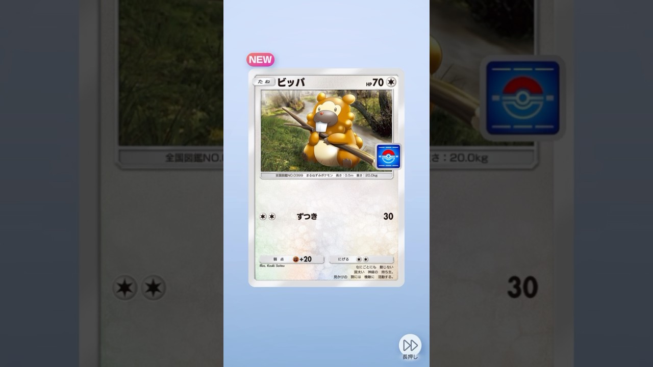 新プロモパックからビッパ獲得〜 #pokemon #pokemoncards #ポケポケ開封チャレンジ #ポケポケ #ポケモンカード #ポケモン #ビッパ