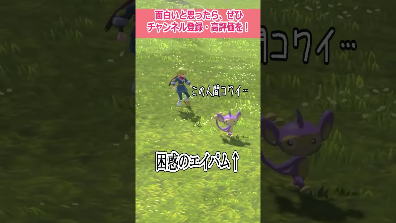 最後エイパムちゃん困惑してて可愛いww #shorts #ポケモン #ポケモンレジェンズアルセウス