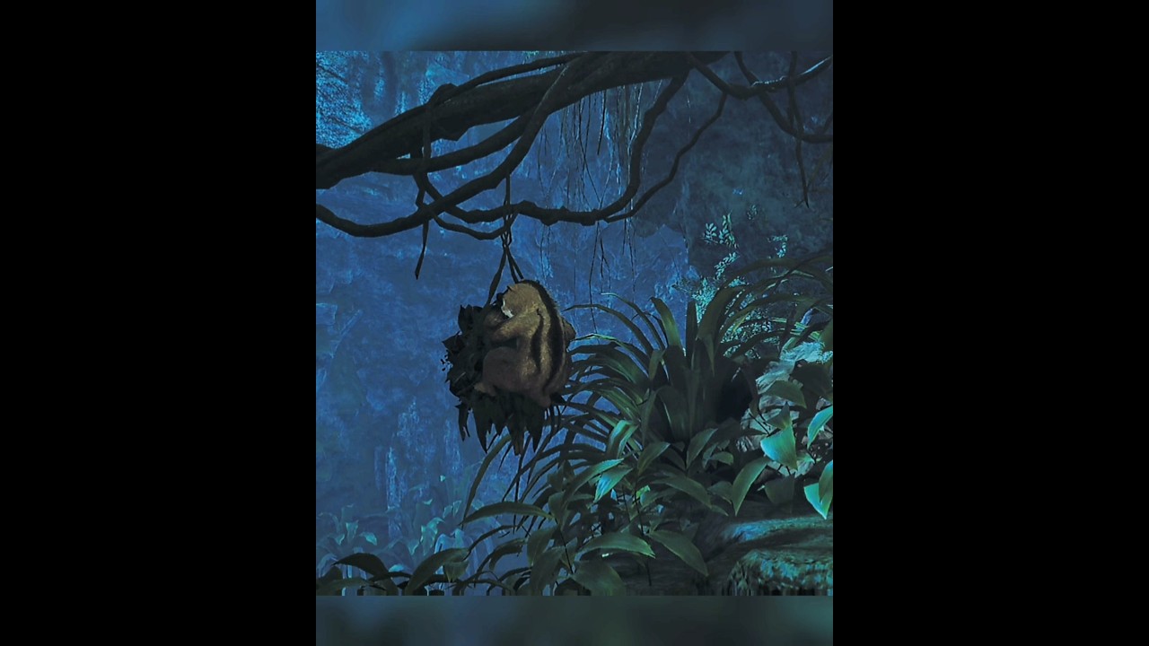 【モンハン】良く眠ってる💤【ワイルズ】#モンハンワイルズ  #MHWilds #モリバー #緋の森 #shorts