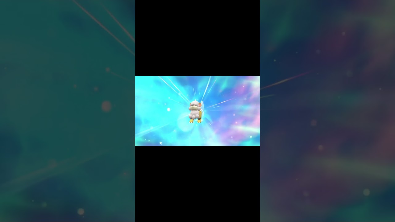 【ポケモンSV】色違いヒスイガーディ → ヒスイウインディ 【ポケットモンスタースカーレットバイオレット】 #ポケモン #pokemon #ポケモンsv #色違い #ポケットモンスター