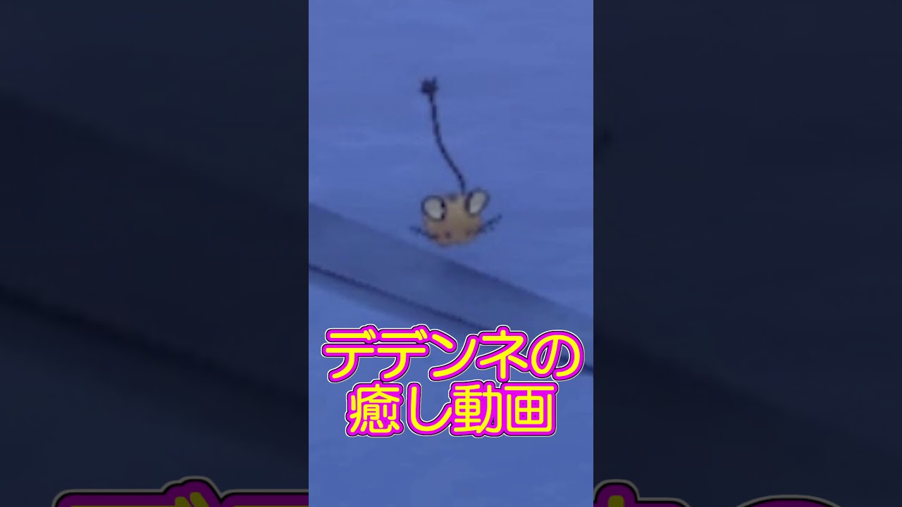 【ポケットモンスター剣盾】可愛いデデンネ【癒し映像】 #shorts