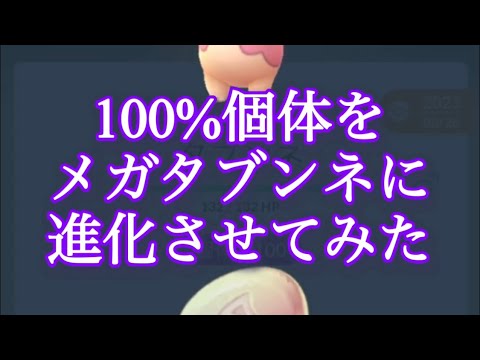 【ポケモンGO】100％個体をメガタブンネに進化させてみた #shorts