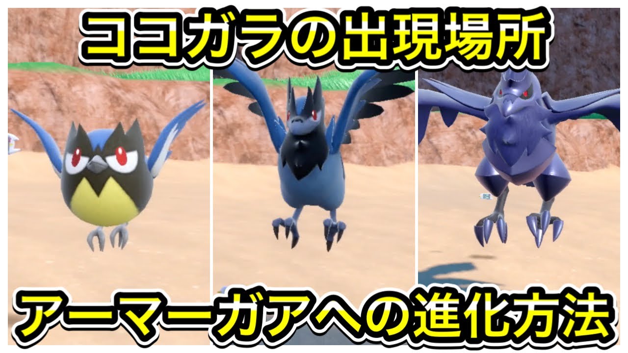 【ポケモンSV】ココガラの出現場所！アオガラス、アーマーガアへの進化方法を教えます