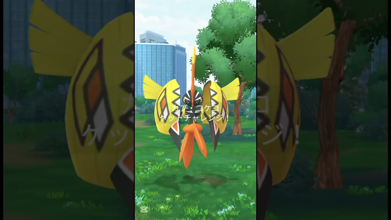 【ポケモンGO/レイド】　カプ・コケコ #pokémon #pokemon #pokémongo #ポケモン #ポケモンgo #ダイマックス #レイド　#ポケットモンスター#カプ・コケコ