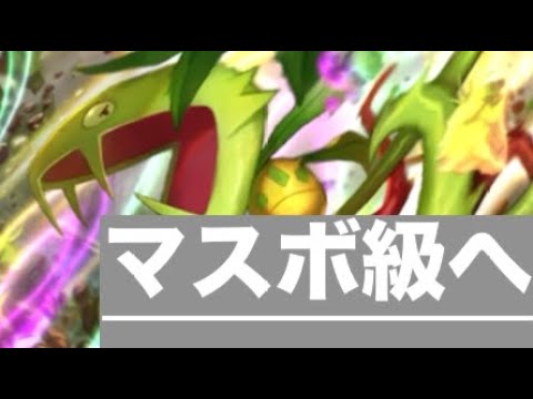 マスキッパ&アルセウス&カモネギでマスボ級到達🤩【ポケポケランクマ A2b】