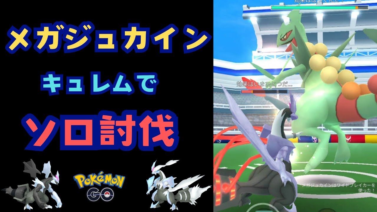 メガジュカイン！キュレムでソロ討伐！【ポケモンGO】