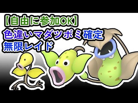 【参加可能！】色違いマダツボミ確定　無限自動レイド兼レイド交換募集枠【ポケモンsv】