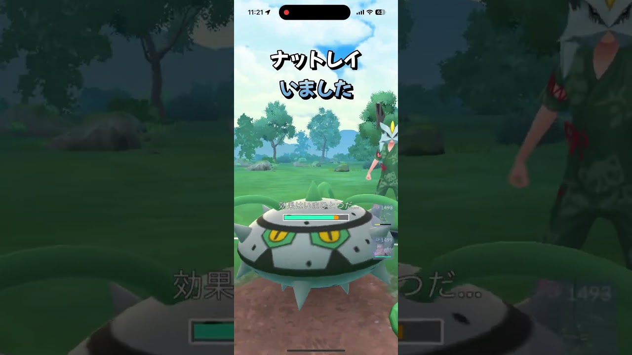 【春カップ】ナットレイ狩りのシャドウクチートを使う回。#shorts