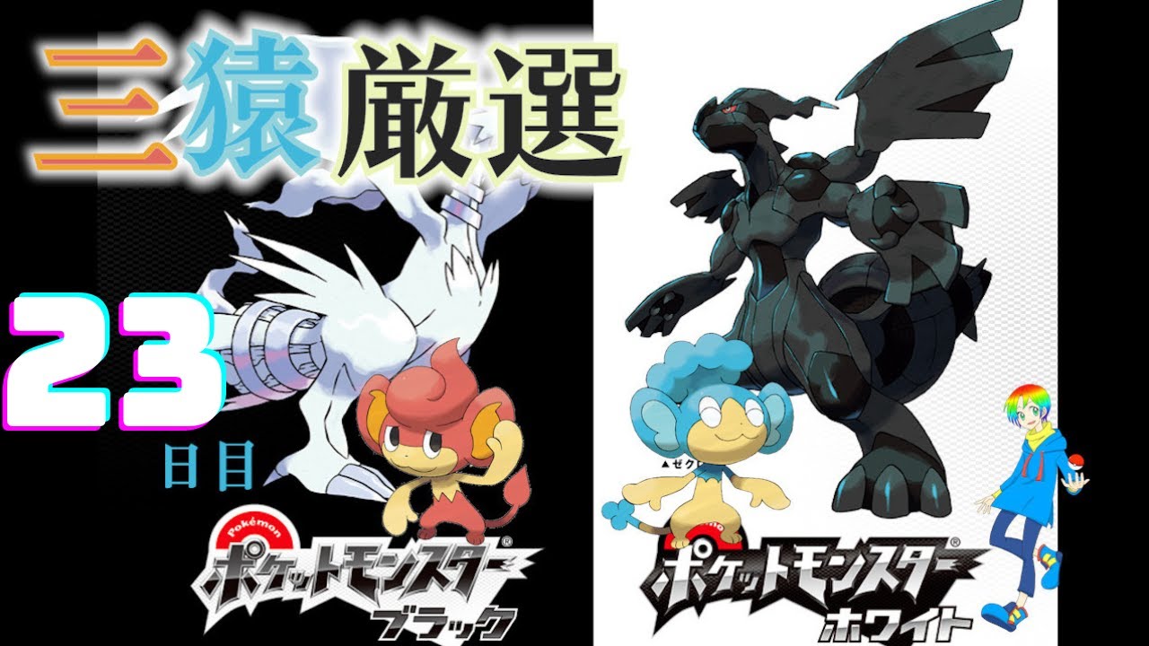 【ポケモンBW】バオップ・ヒヤップ(Shiny Wise Monkeys)厳選(23日目) 6600~