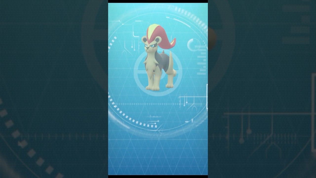 【 ポケモンgo 】 シシコ → カエンジシ ！〜ウィロー博士タスク報酬のシシコ&クチート【 うさぴよの巣 】#litleo #pyroar #pokemongo