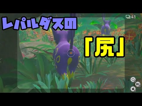 レパルダスの「尻」【実況】