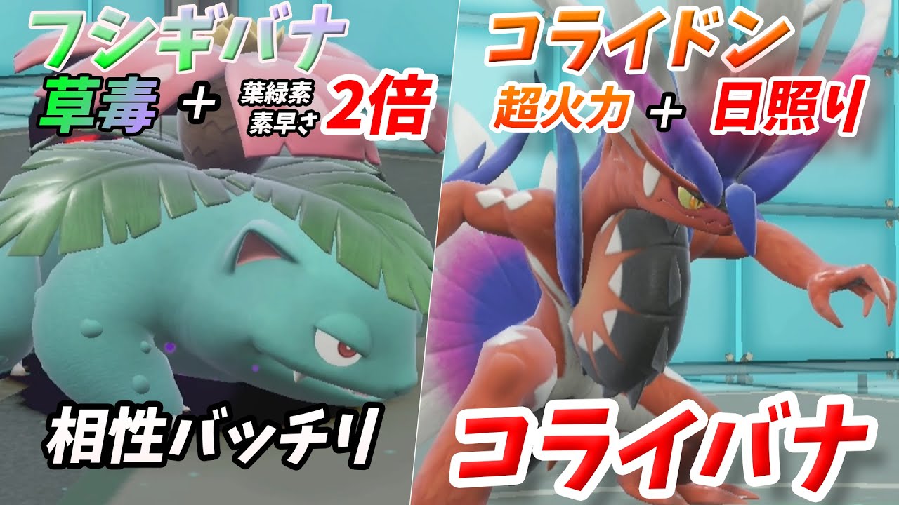 相性抜群！高火力コライドンと高速晴れアタッカー？のフシギバナ！【ポケモンSV】【ゆっくり実況】