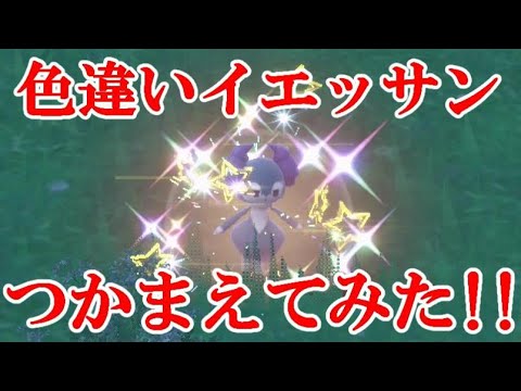 【ポケモンSV】色違いイエッサンつかまえてみた！！