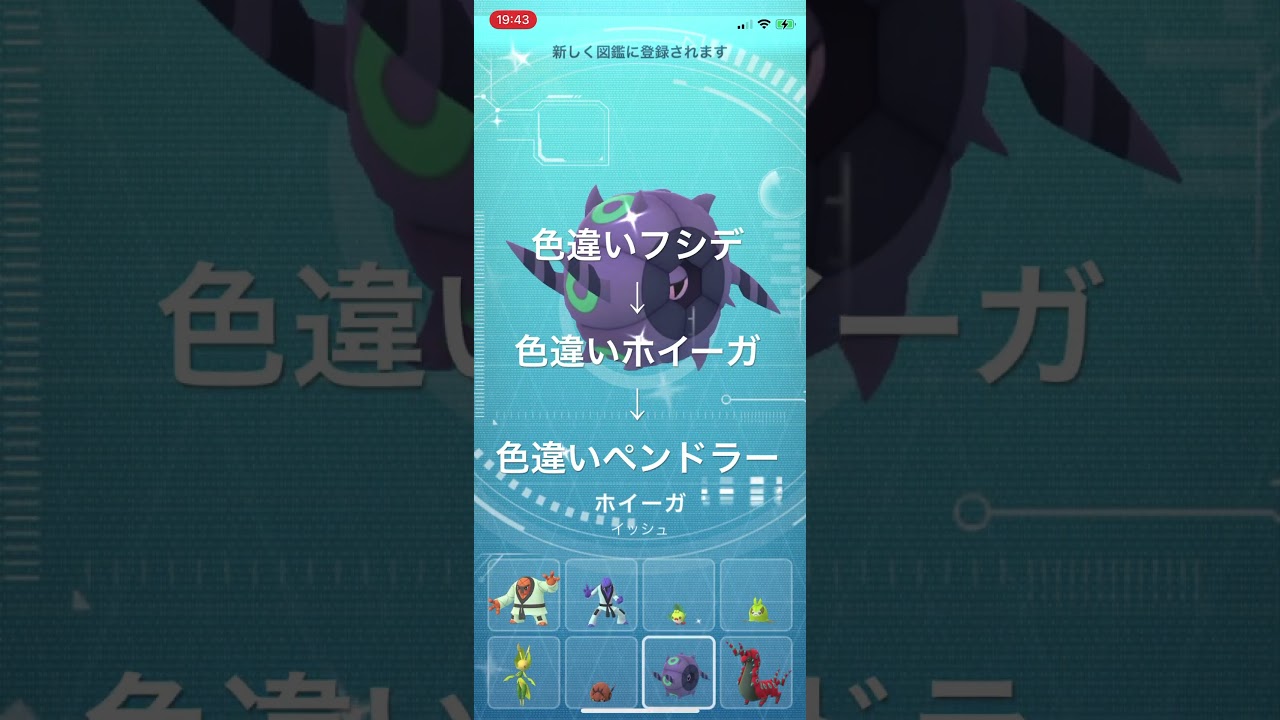 ポケモンGO 色違いフシデ出現！色違いホイーガ、色違いペンドラーへ進化！ #pokémon #ポケモンgo #ポケモン #pokemongo #ポケgo #ゲーム