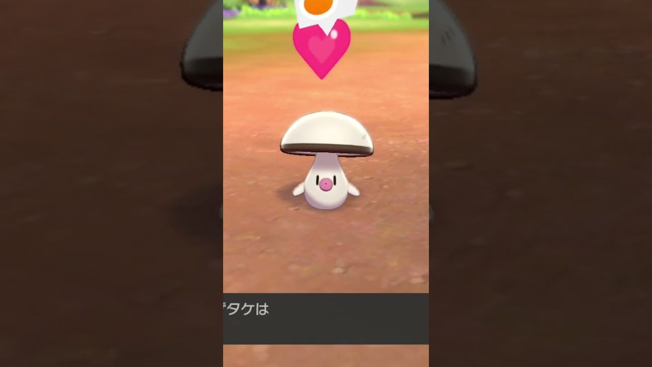タマゲタケ Foongus【ポケモン剣盾】