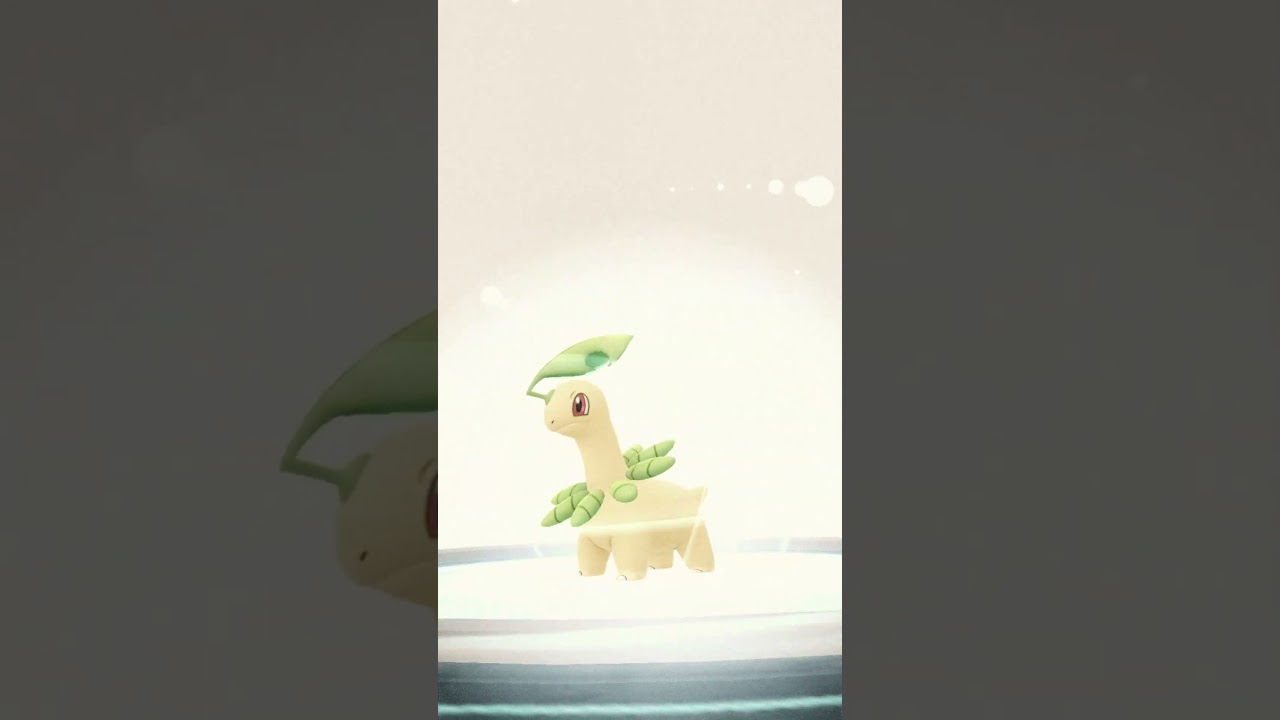 The Evolution of Bayleef into Majestic Meganium