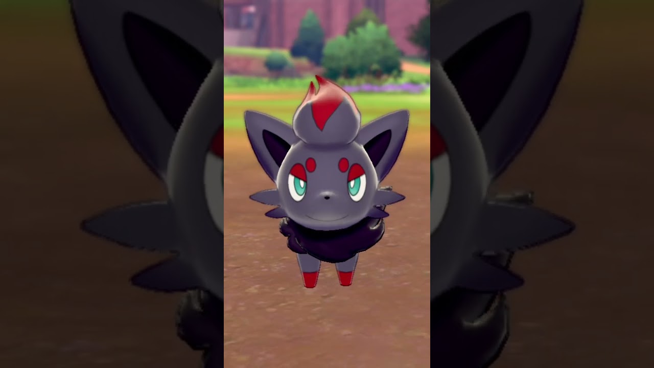 ゾロア Zorua【ポケモン剣盾】