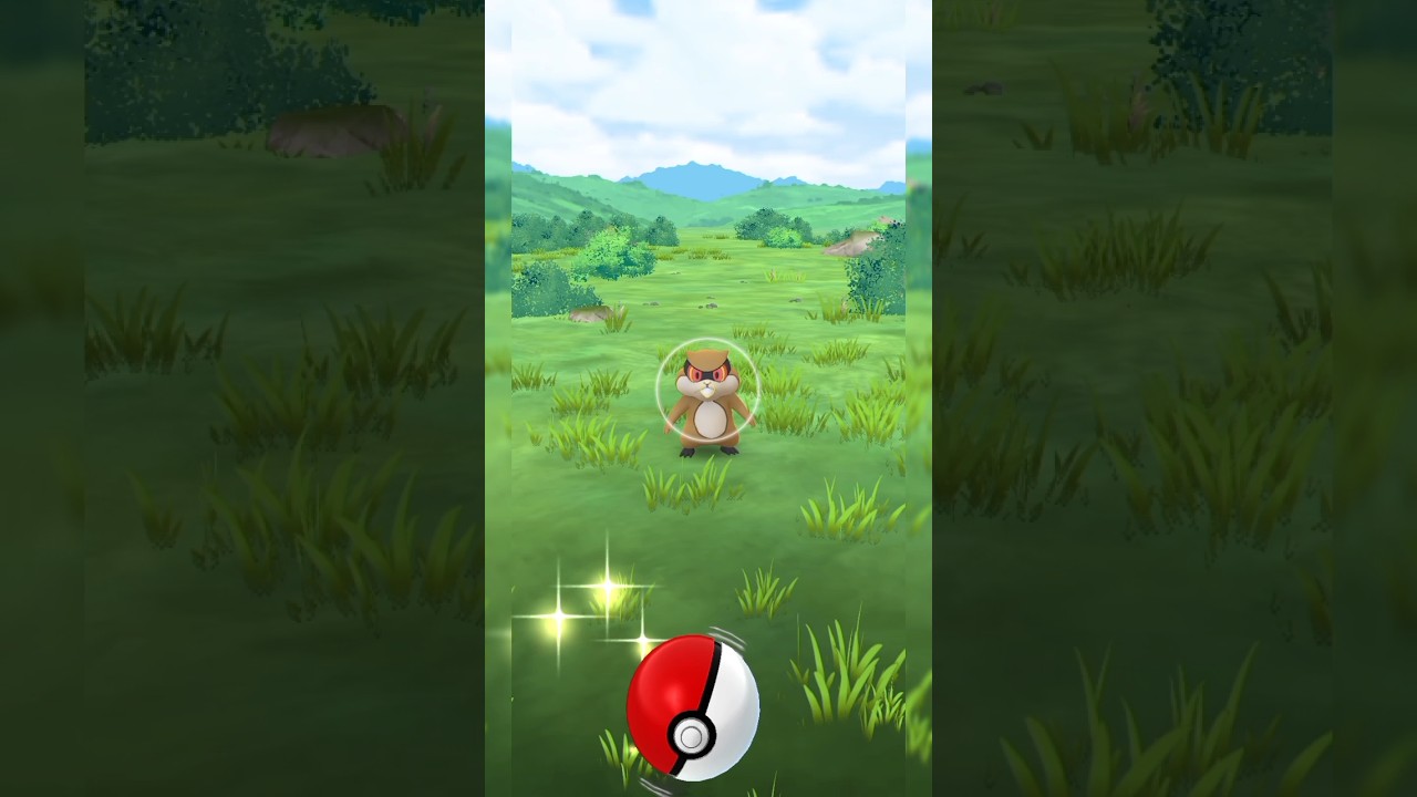 Catching a Patrat pokemon in the nature #pokemongo #pokemon